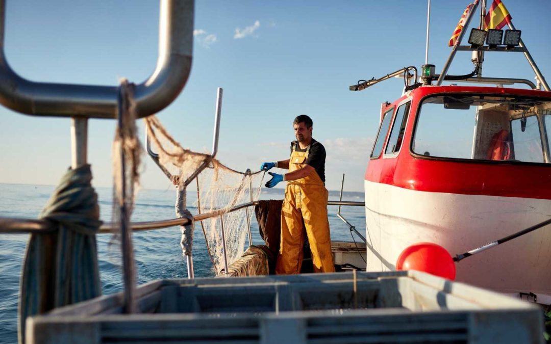 España recurrirá ante el Tribunal de Justicia de la Unión Europea el veto europeo a la pesca de arrastre